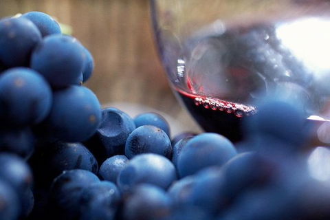 Small Group 6 Guests: Ultimate Yarra Valley Food And Wine - Mercedes Van - Hotel VIC 4