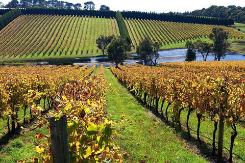 Small Group 6 Guests: Ultimate Mornington Peninsula Food And Wine - Hotel VIC 3