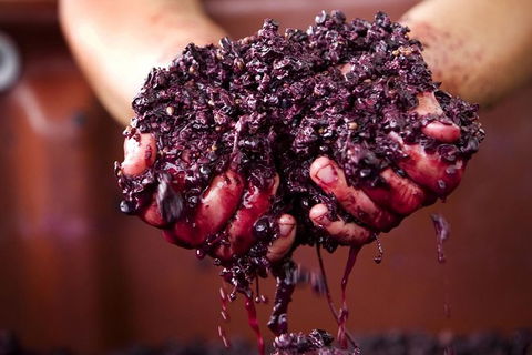CHEVY CONVERTIBLE Package For 4 -Wine Lunch Cheese & Chocolate From Yarra Valley - Hotel VIC 5