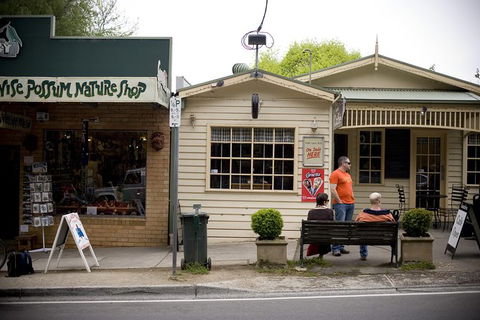 Half Day Puffing Billy Train Journey From Melbourne - Hotel VIC 10