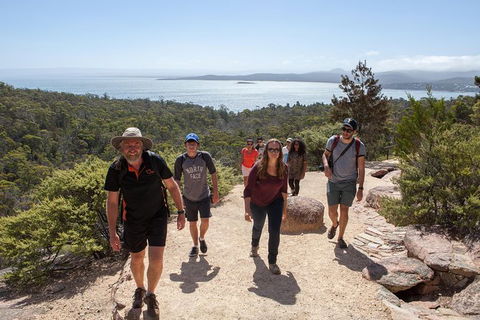Wineglass Bay Explorer Active Day Trip From Launceston - Hotel VIC 1