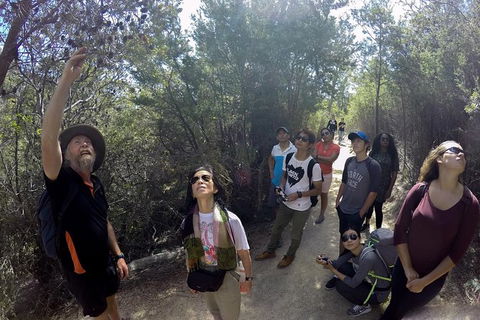 Wineglass Bay Explorer Active Day Trip From Launceston - Hotel VIC 8