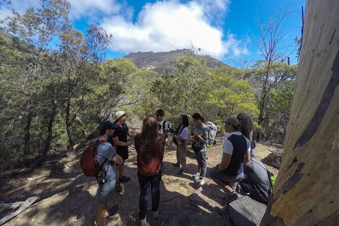 Wineglass Bay Explorer Active Day Trip From Launceston - Hotel VIC 3