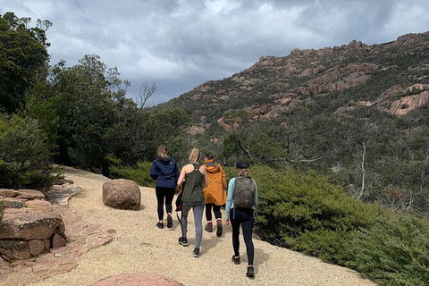Wineglass Bay Explorer Active Day Trip From Launceston - Hotel VIC 15