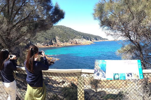 Wineglass Bay Explorer Active Day Trip From Launceston - Hotel VIC 24