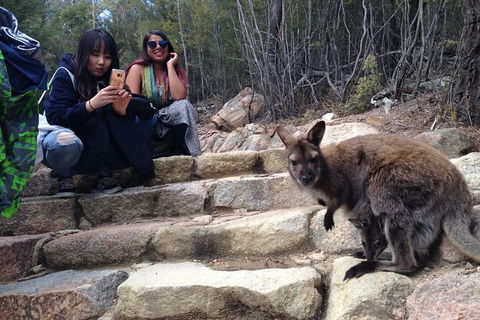 Wineglass Bay Explorer Active Day Trip From Launceston - Hotel VIC 7