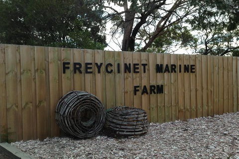 Wineglass Bay Explorer Active Day Trip From Launceston - Hotel VIC 5