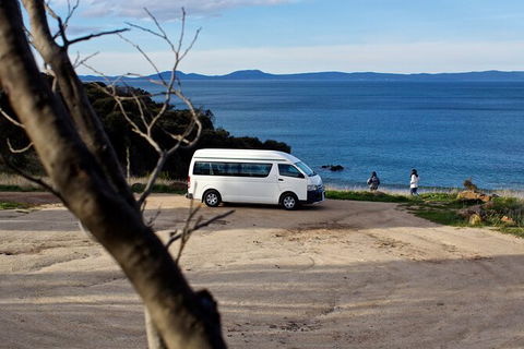 Wineglass Bay Explorer Active Day Trip From Launceston - Hotel VIC 10