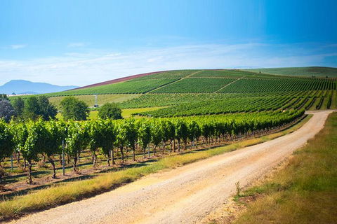 Full Day Tamar Valley Wine Tour - Hotel VIC 2