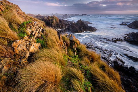 4-Day Tarkine Wilderness Photography Workshop - Hotel VIC 0
