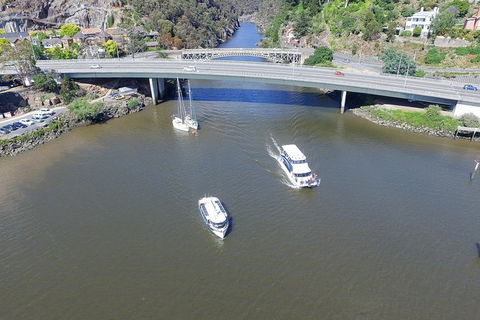 Cataract Gorge Cruise 1:30 Pm - Hotel VIC 2