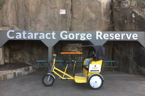 Launceston Cataract Gorge - Twilight, Wildlife, Local History Walking Tour. - Hotel VIC 0