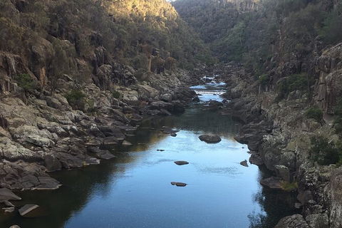 Launceston Cataract Gorge - Twilight, Wildlife, Local History Walking Tour. - Hotel VIC 2