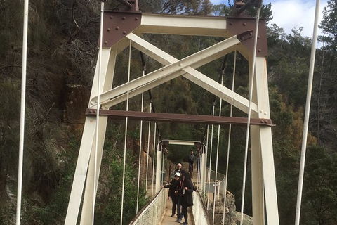 Launceston Cataract Gorge - Twilight, Wildlife, Local History Walking Tour. - Hotel VIC 3