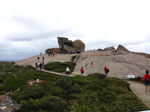 Kangaroo Island In A Day Tour From Adelaide - Hotel VIC 21