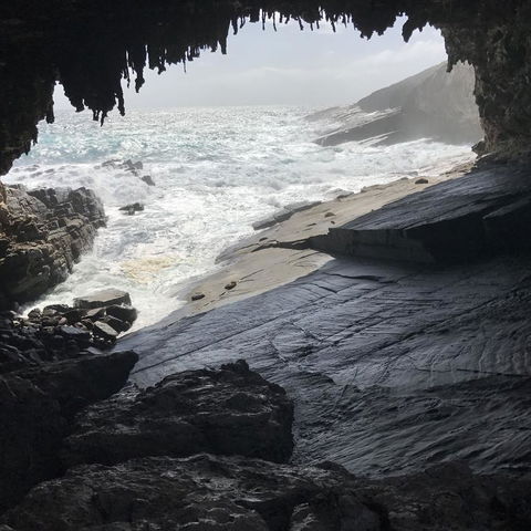 Kangaroo Island In A Day Tour From Adelaide - Hotel VIC 5