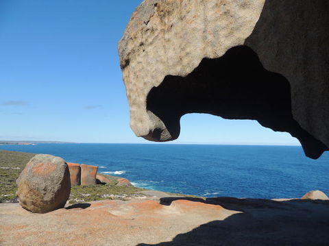 Kangaroo Island In A Day Tour From Adelaide - Hotel VIC 13