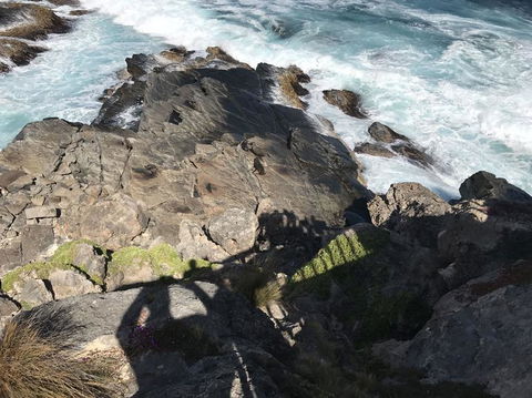 Kangaroo Island In A Day Tour From Adelaide - Hotel VIC 3