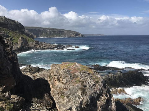 Kangaroo Island In A Day Tour From Adelaide - Hotel VIC 4