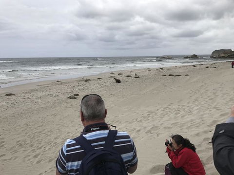 Kangaroo Island In A Day Tour From Adelaide - Hotel VIC 10