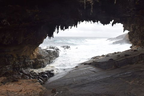 Kangaroo Island In A Day Tour From Adelaide - Hotel VIC 18