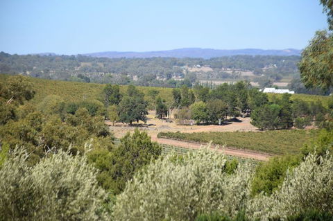 Barossa Valley Food And Wine Tour - Hotel VIC 2