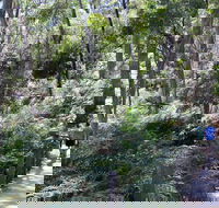 Self-Guided Waterfall Gully to Mount Lofty Hike from Adelaide - Hotel VIC