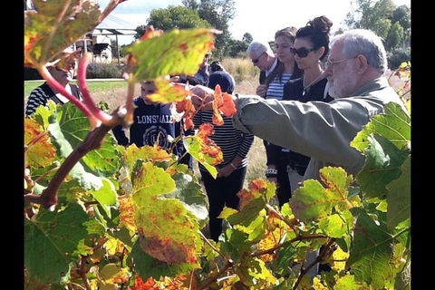 Barossa Valley Via Hahndorf ( Historical German Village ) Inc Maggie Beers Farm - Hotel VIC 4