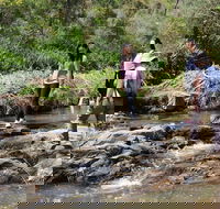Small Group Bush Walk  BBQ with Wine Day Trip from Adelaide - Hotel VIC