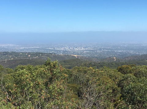 Adelaide Hills And Hahndorf Tour From Adelaide With Wine And Cheese Tasting - Hotel VIC 8