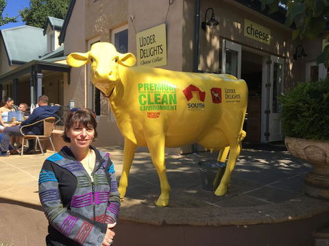 Adelaide Hills And Hahndorf Tour From Adelaide With Wine And Cheese Tasting - Hotel VIC 2