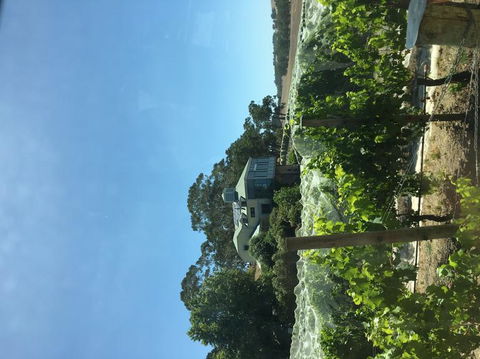 Adelaide Hills And Hahndorf Tour From Adelaide With Wine And Cheese Tasting - Hotel VIC 7
