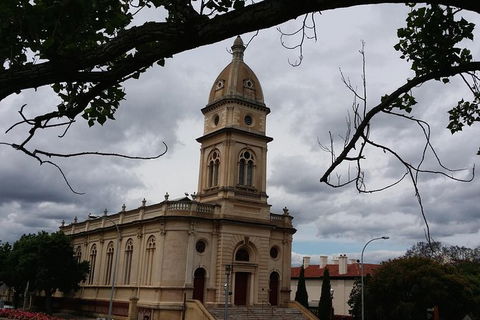 Adelaide Walking Tour: Grand Mansions And Sub-Divisions - Hotel VIC 0