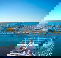 2 Hour Aquarium Tour - Hotel VIC