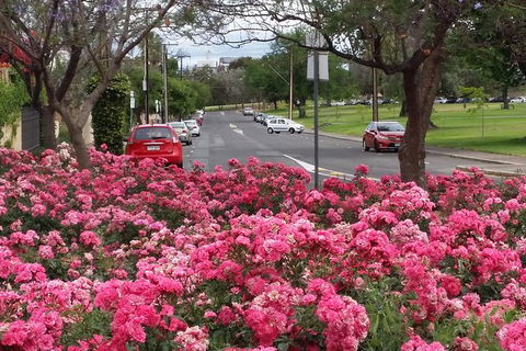 Adelaide Walking Tour: Hills, Squares And Parklands - Hotel VIC 6