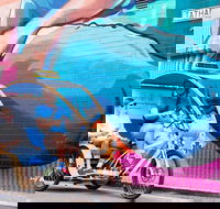 Adelaide 90-Minute Pedicab Tour Street Art Experience - Hotel VIC