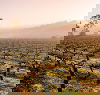 Barossa Valley Private Tour It's your tour the way you want it. - Hotel VIC