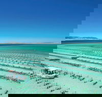 Coffin Bay Day Tour - A Taste of Coffin Bay - Hotel VIC