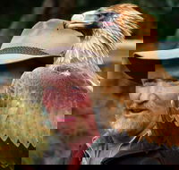 Kangaroo Island Wildlife Day Trip from Adelaide Including Seal Bay - Hotel VIC