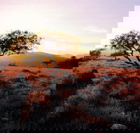 Adelaide To Coober Pedy 7 DAY SMALL GROUP 4WD SAFARI - Hotel VIC