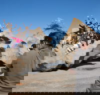 2-Day Kangaroo Island Adventure from Adelaide - Hotel VIC