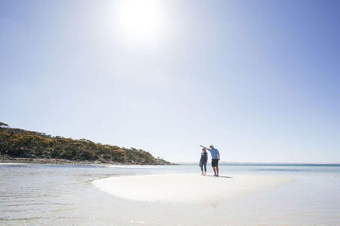 Exceptional Port Lincoln, Seafood And Wildlife Tour - Hotel VIC 1