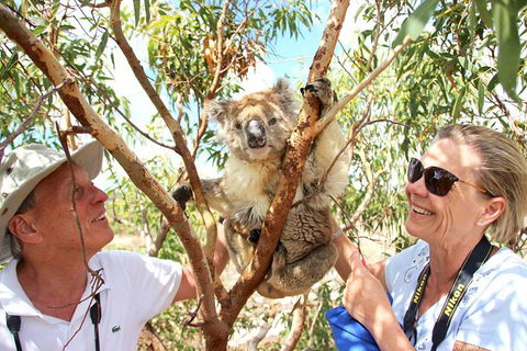 Exceptional Port Lincoln, Seafood And Wildlife Tour - Hotel VIC 6