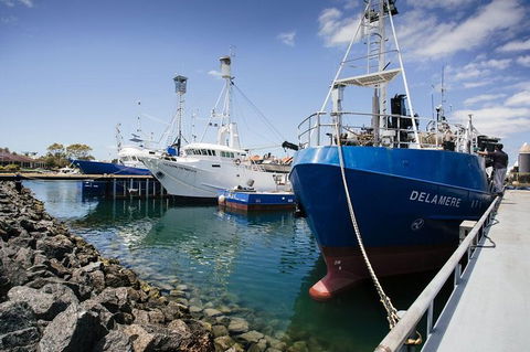 Exceptional Port Lincoln, Seafood And Wildlife Tour - Hotel VIC 8