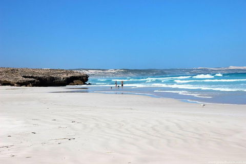 Exceptional Port Lincoln, Seafood And Wildlife Tour - Hotel VIC 4