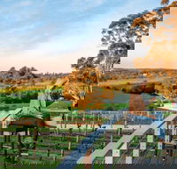 Full-Day Hahndorf and Adelaide Hills Hop-On Hop-Off Tour from Adelaide - Hotel VIC