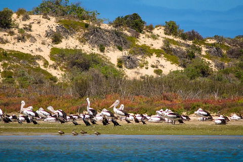 Murray Mouth Cruise - Hotel VIC 0