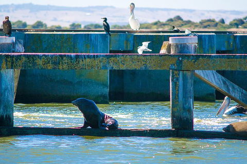 Murray Mouth Cruise - Hotel VIC 1