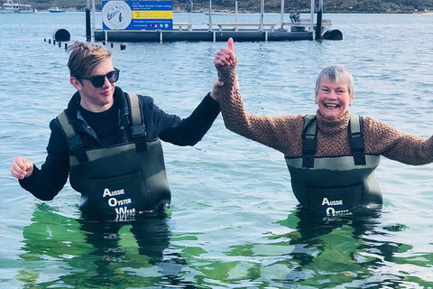 Oyster Farm And Tasting Tour With Hotel Pick-up And Return From Port Lincoln - Hotel VIC 5