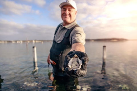 Oyster Farm And Tasting Tour With Hotel Pick-up And Return From Port Lincoln - Hotel VIC 3